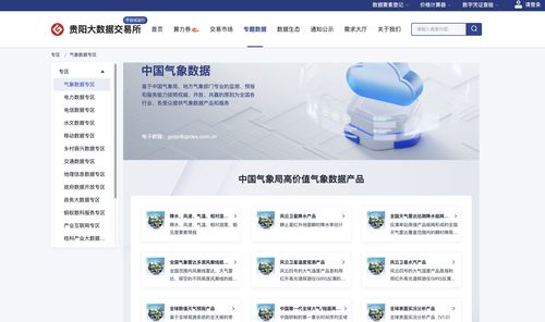 多项首创，贵州让数据更有生命力——探索互联网数据服务的创新路径